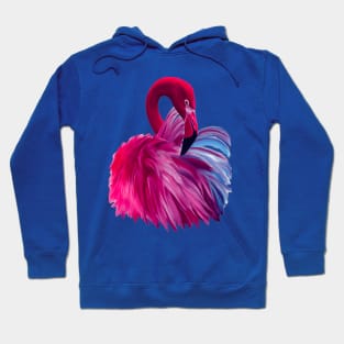 Flamingo Hoodie